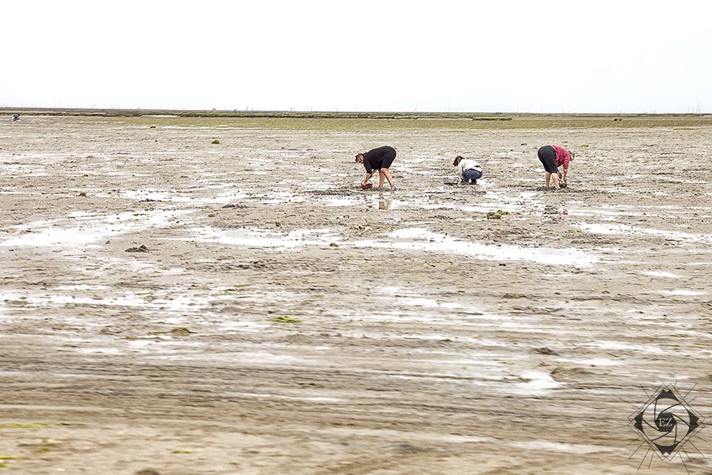 l'Île de Noirmoutier