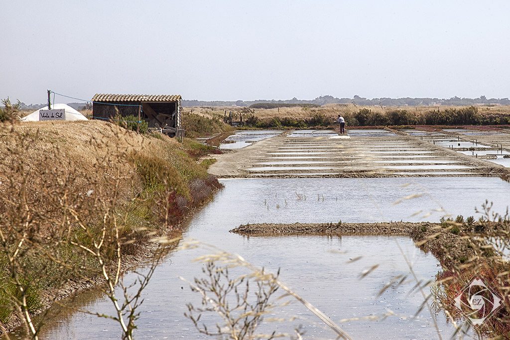 l'Île de Noirmoutier