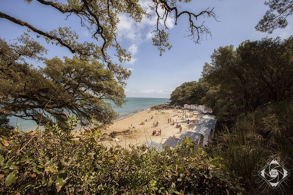 l'Île de Noirmoutier